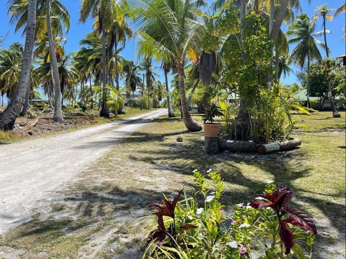 Rangiroa Guest Paradise أفاتورو المظهر الخارجي الصورة